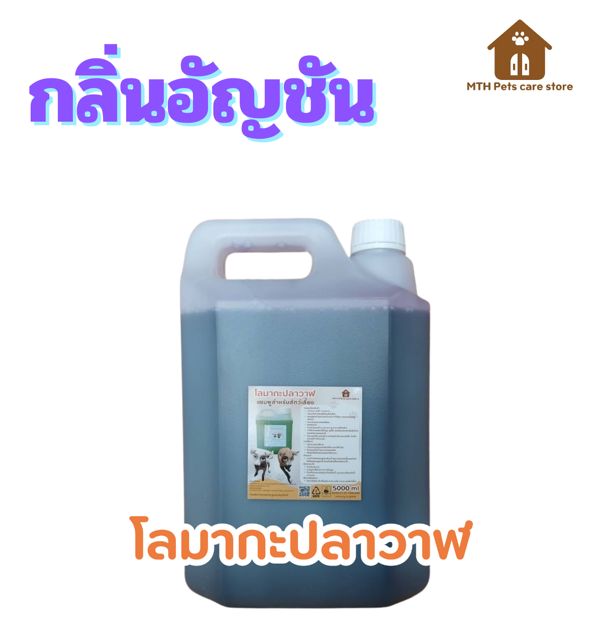 ดูดีไซน์จาก Canva ของฉันสิ! (2)