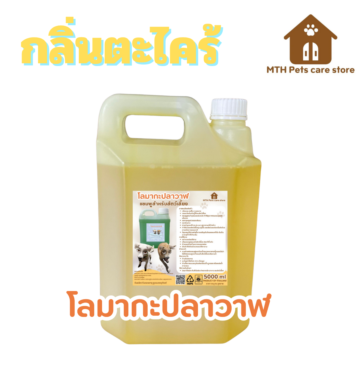 ดูดีไซน์จาก Canva ของฉันสิ! (3)