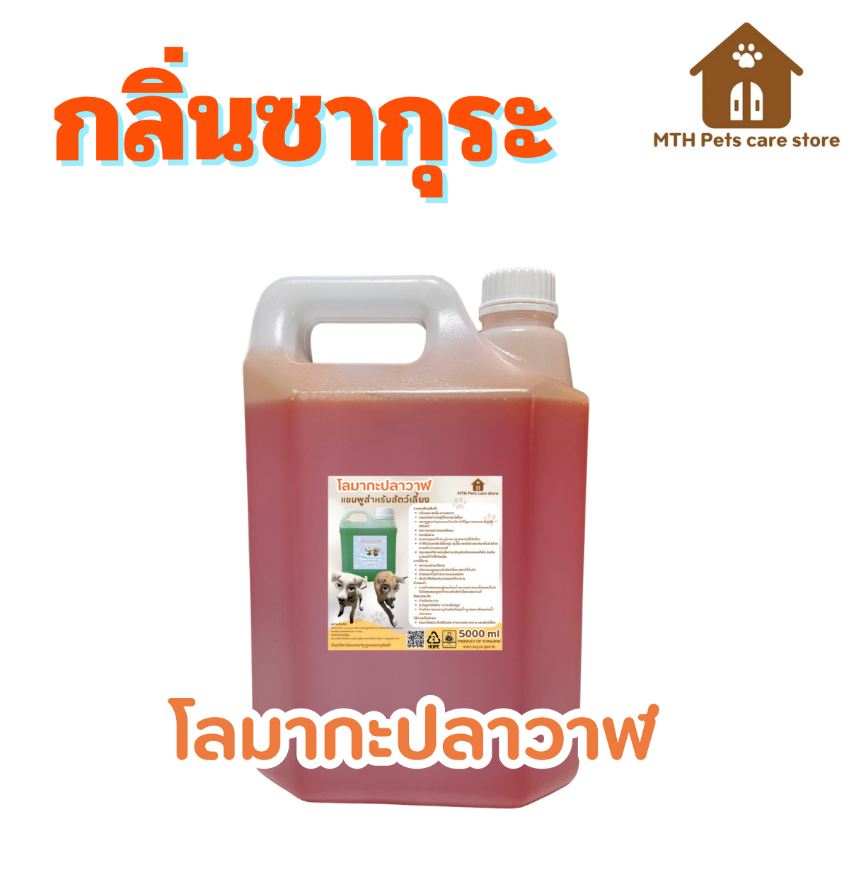 ดูดีไซน์จาก Canva ของฉันสิ! (8)