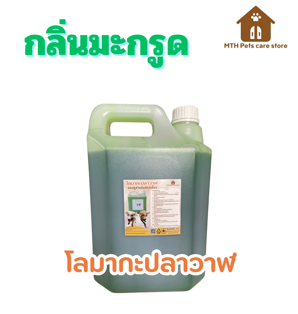 ดูดีไซน์จาก Canva ของฉันสิ! (9)