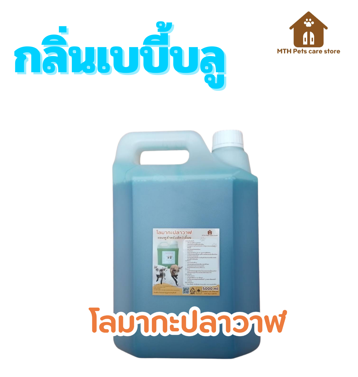 ดูดีไซน์จาก Canva ของฉันสิ!