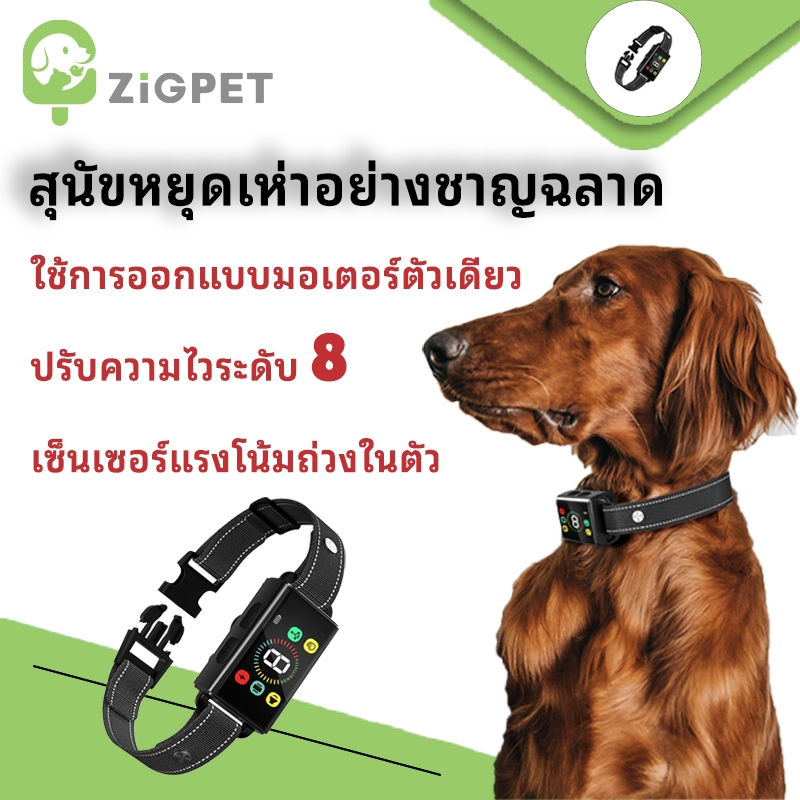 สินค้าขายดี ZigPet อุปกรณ์ควบคุมการเห่าของสุนัข เครื่องขับไฟฟ้าป้องกันการเห่า อุปกรณ์ฝึกสุนัขให้เงียบ อุปกรณ์ฝึกสุนัขไม่ให้เห่า(โหมดหยุดเสียง + สั่นสะเทือน + กระตุ้นด้วยไฟฟ้า )ระดับความไวในการตรวจจับ 8 ระดับ รองรับจดจำเสียงและตรวจจับเคลื่อนไหว