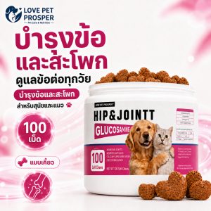 Love Pet Prosper คอนดรอยตินจากกระดูกอ่อนปลาฉลามสำหรับสัตว์เลี้ยง บำรุงและดูแลข้อต่อ เสริมการดูแลกระดูกสำหรับสุนัข พร้อมแคลเซียม100 เม็ด