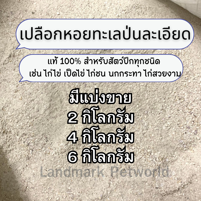 เปลือกหอยป่นละเอียดเปลือกหอยทะเลป่นละเอียดแท้100%(แบ่งขาย)