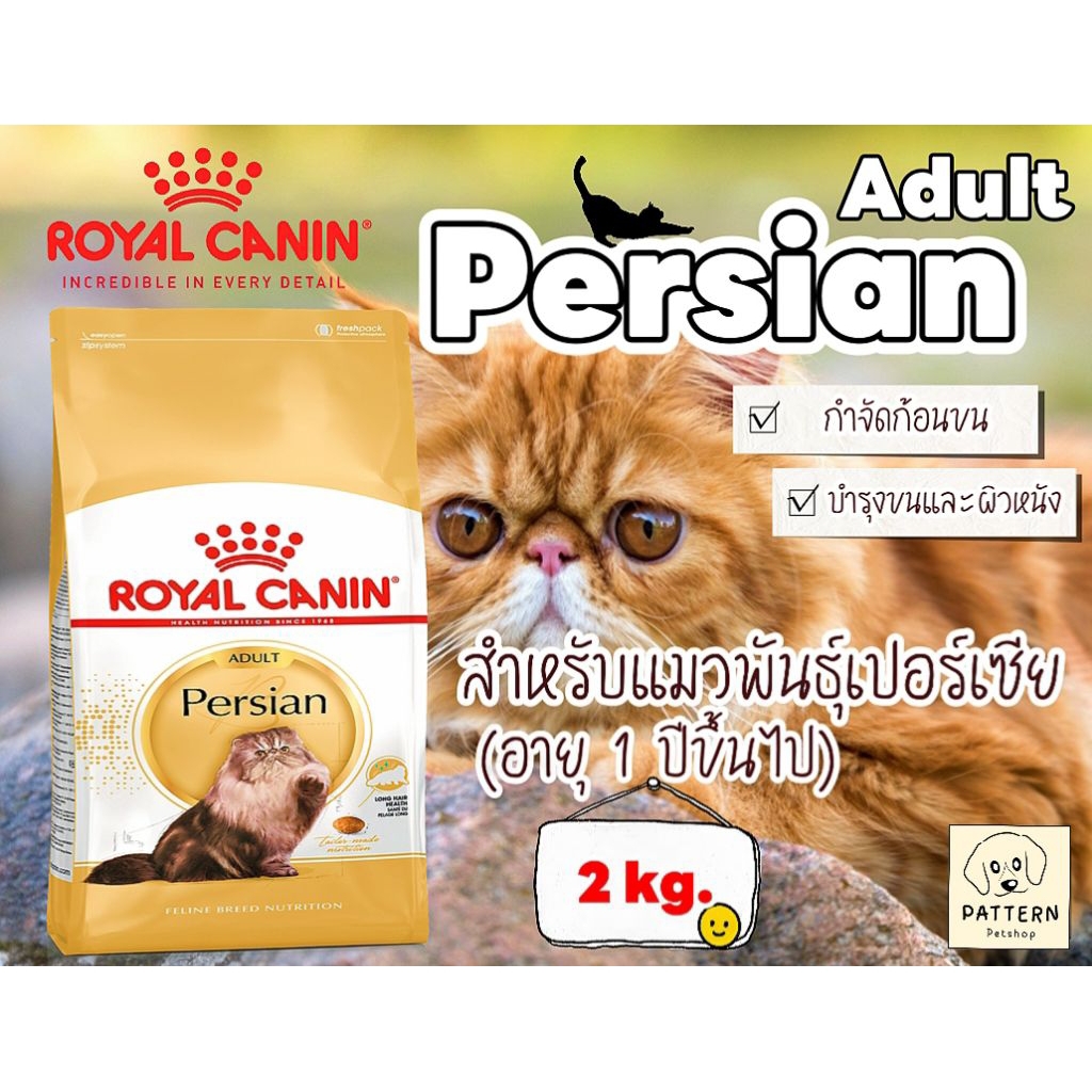 Royal Canin Persian Adult 2 kg.สำหรับแมวเปอร์เซียอายุ 1 ปีขึ้นไปช่วยบำรุงผิวหนังและขน หมดอายุปี 2027
