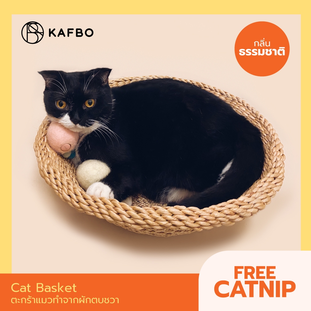 KAFBO Cat basket - ตะกร้าแมว ตะกร้าสานสำหรับแมว ที่นอนแมว ที่ลับเล็บแมว FREE!! Catnip!
