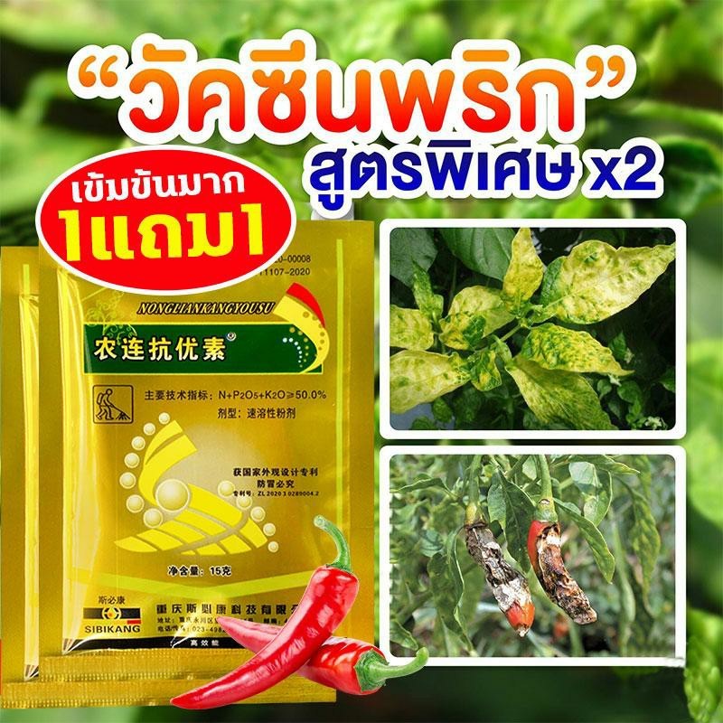 ซื้อ 3 แถม 3/1 แคม 1: กำจัดโรคเน่าในพริก, กำจัดโรคพริก, ไตรโดเดอร์มา, สารป้องกันเชื้อรา, กำจัดโรคพืช, พริก, กุ้ง, โรคแอน