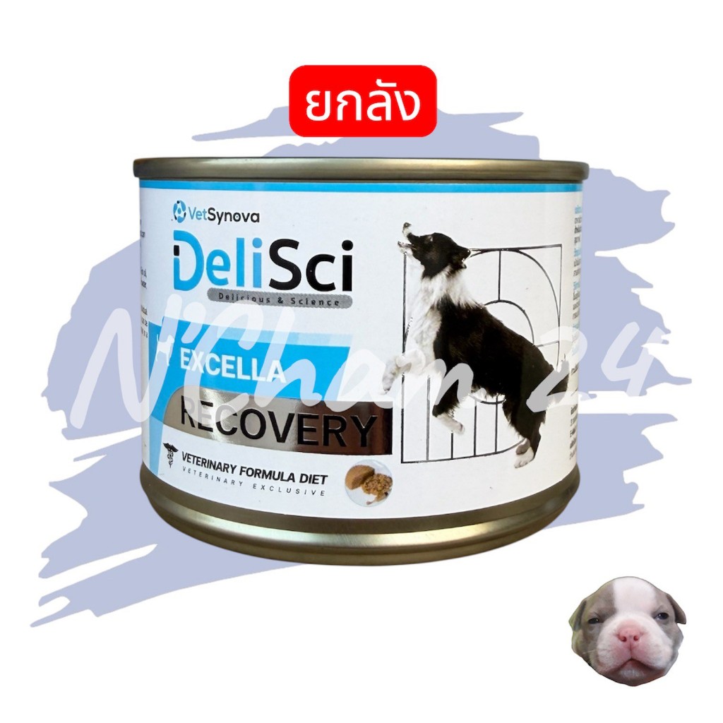โปรดอ่านกอ่นสั่ง Vetsynova DeliSci Excella 185g. X12 กระป๋อง สำหรับสุนัข แมวกำลังพักฟื้น พลังงานสูง