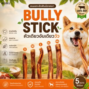 (อบใหม่ หอมๆ🔥พร้อมส่ง 24 ก.ย.) ตัวเดียวอันเดียววัว - Bully Stick ขนมขัดฟันสุนัข ขนมน้องหมา